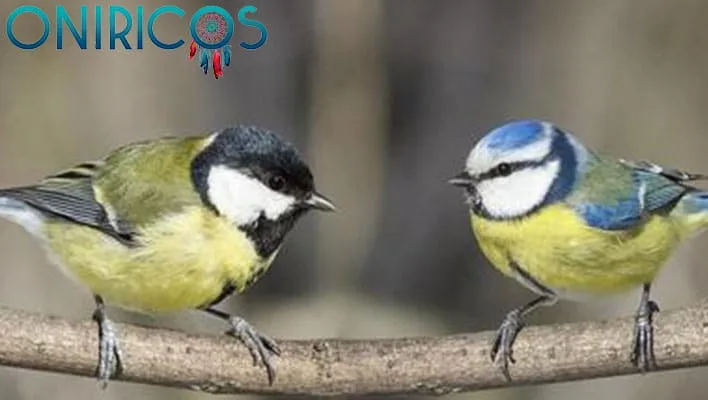 Soñar con pájaros