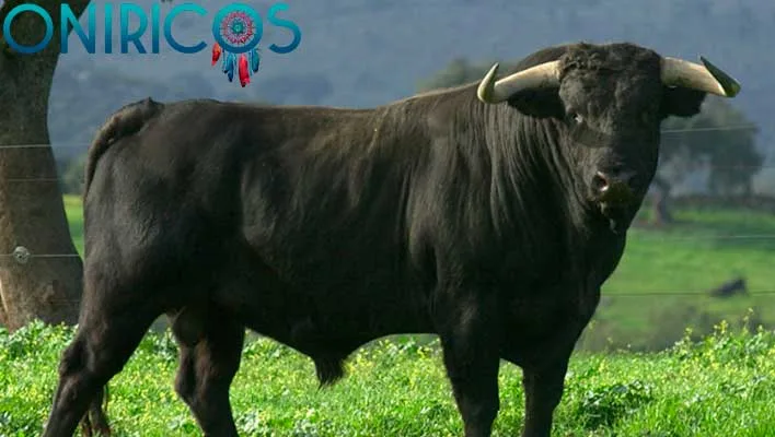Soñar con toros
