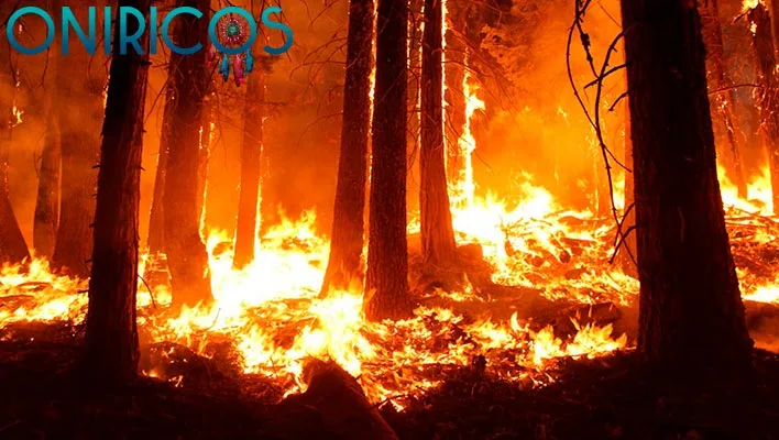 significado de Soñar con bosque en llamas