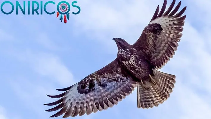 soñar con aves de presa - oniromancia