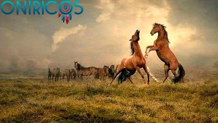 soñar con caballos salvajes - oniromancia