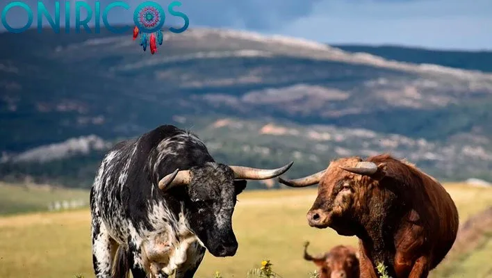 soñar con toro - oniromancia