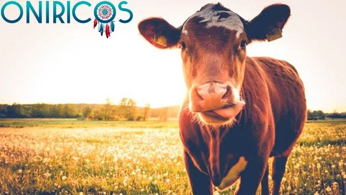 soñar con vaca - oniromancia