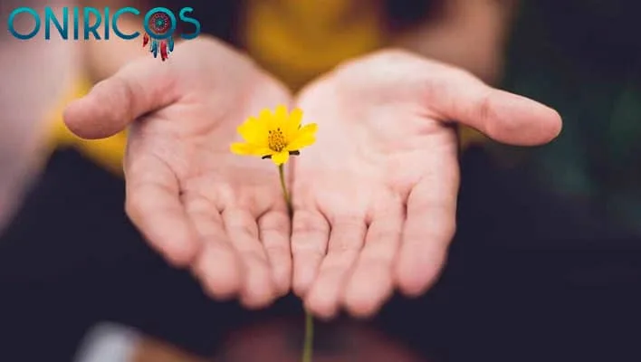 significado de soñar que tu ex regresa a ti y te pide perdón