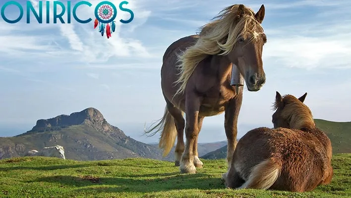 soñar con caballos - oniromancia