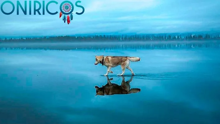 soñar con caminar sobre hielo - oniromancia