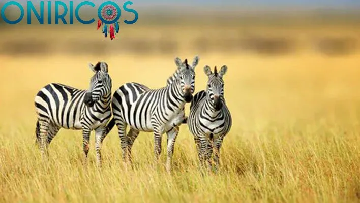 soñar con cebra - oniromancia