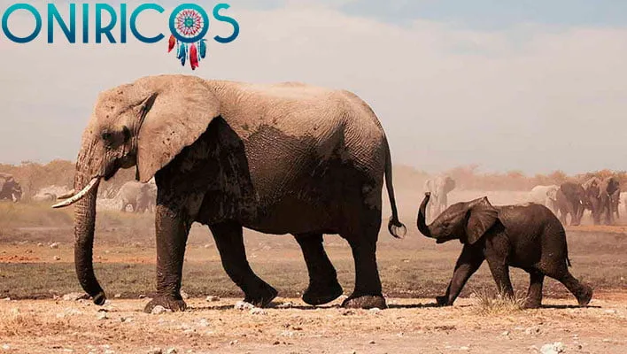 soñar con elefantes - oniromancia