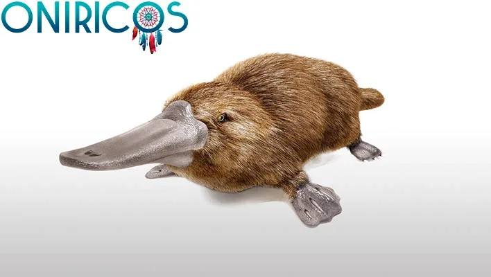 soñar con ornitorrincos - oniromancia
