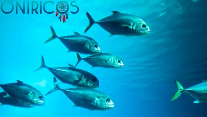 soñar con pez como animal espiritual - oniromancia