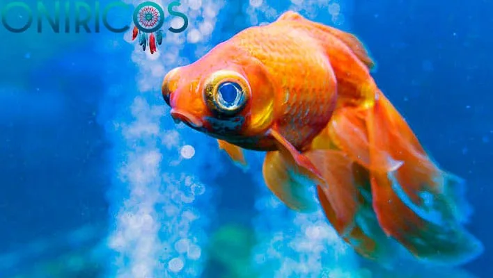 soñar con pez - oniromancia