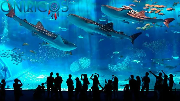 soñar con un acuario - oniromancia