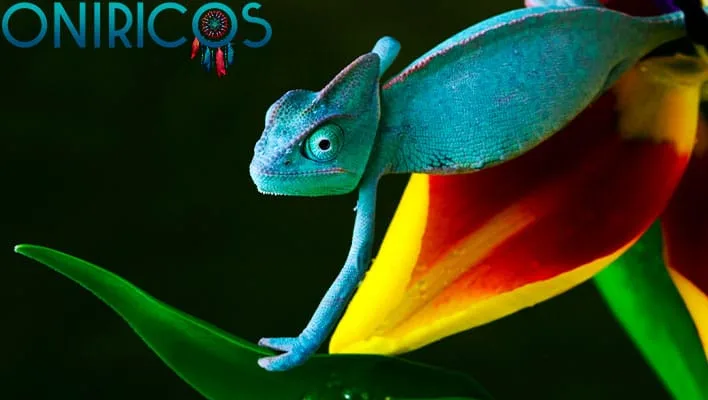 soñar con un camaleón - oniromancia