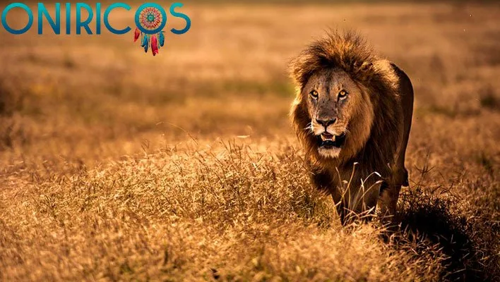 soñar con un león - oniromancia