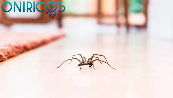 significado de Soñar con arañas en casa