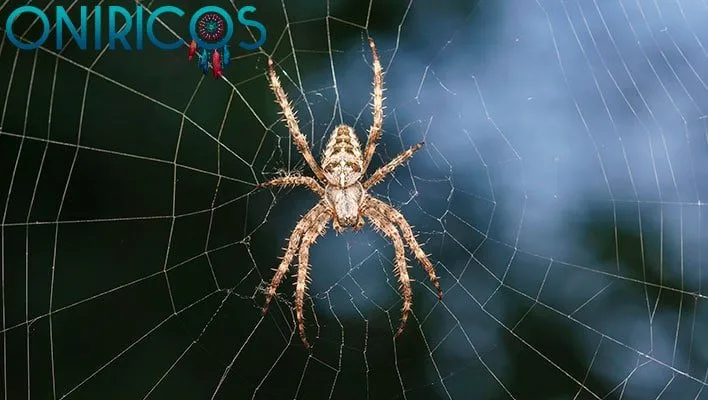 significado de Soñar con arañas