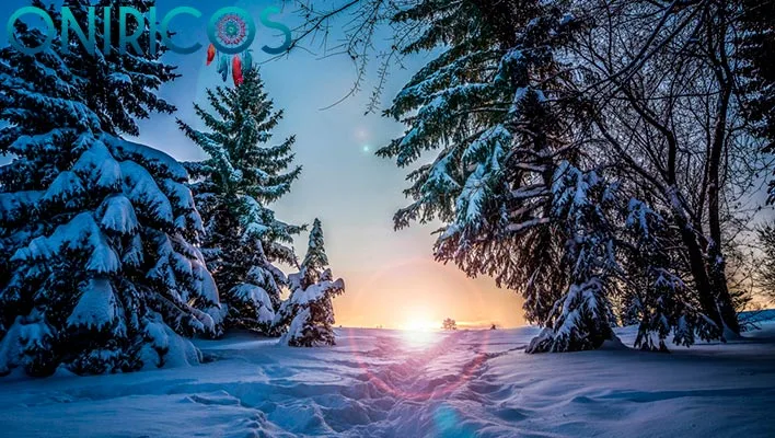 significado de Soñar con bosque nevado