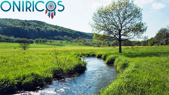 soñar con un rio con poco caudal - oniromancia