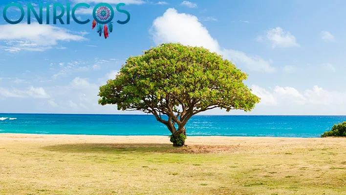 significado de Soñar con árboles