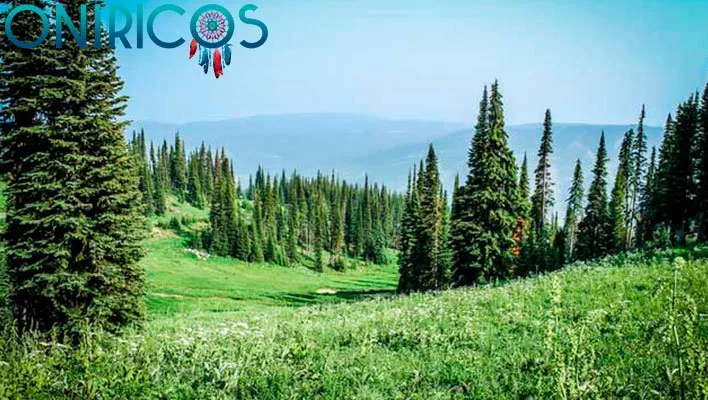 soñar con pinos - oniricos