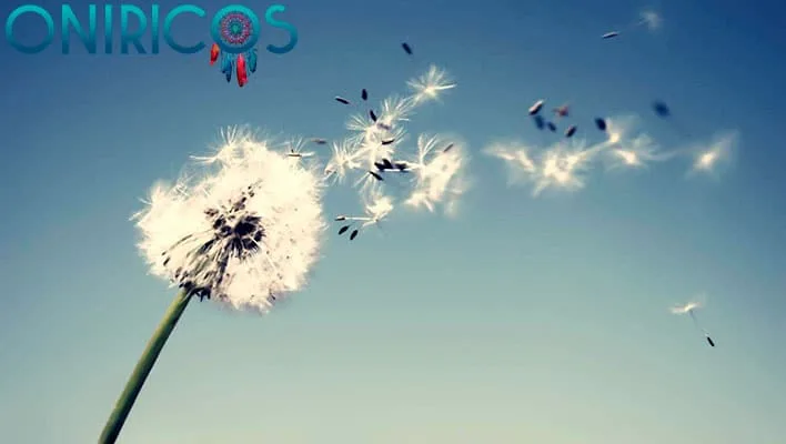 soñar con viento - oniricos