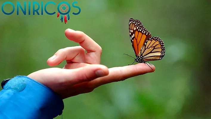 soñar con mariposas - oniromancia