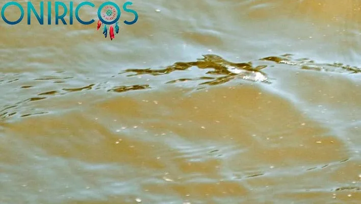 soñar con agua turbia - oniromancia