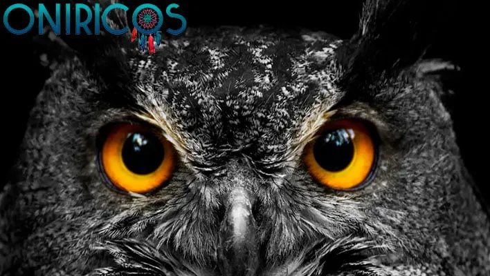 soñar con búhos - oniromancia
