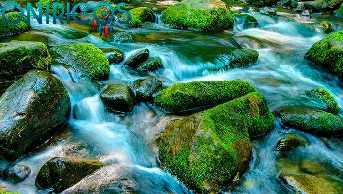 soñar con agua corriendo - oniromancia