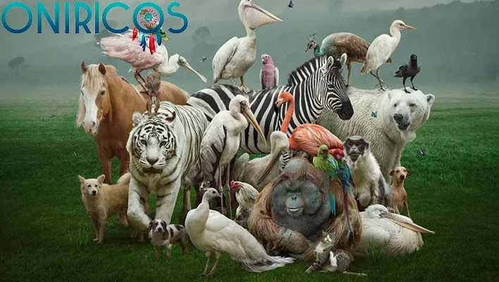 soñar con animales - oniromancia