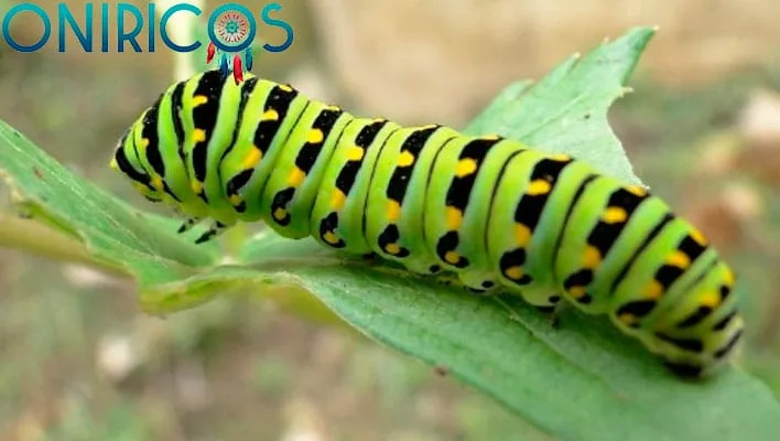 soñar con gusanos - oniromancia