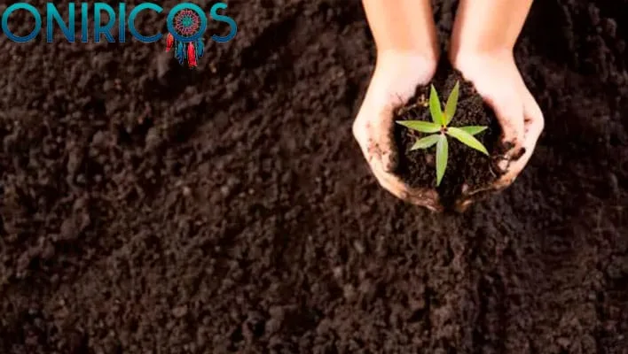 soñar con tierra - oniromancia