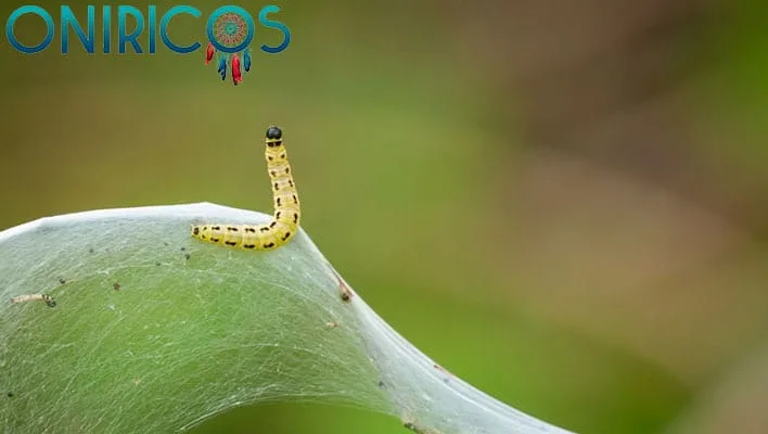 soñar con gusanos - oniromancia.jpg