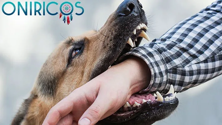 soñar que te muerde un perro - oniromancia.jpg