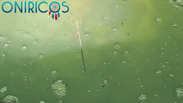 Soñar con agua estancada - oniromancia