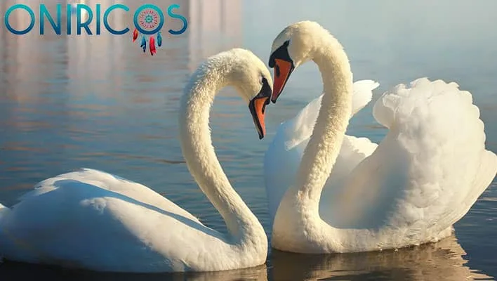 Soñar con cisnes -oniromancia