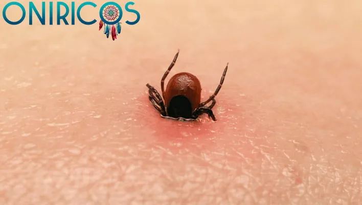 Soñar con garrapatas