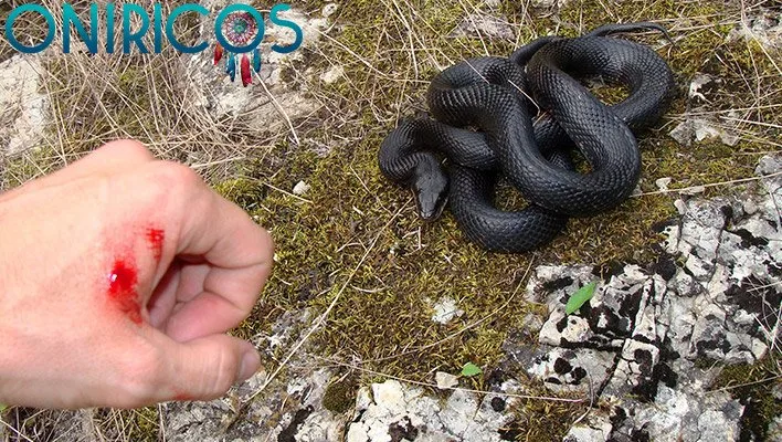 Soñar que te muerde una serpiente